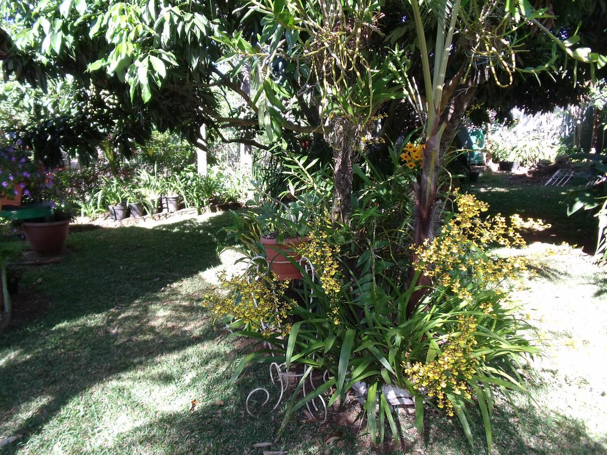 Villa Les Agapanthes Le Tampon Exterior foto