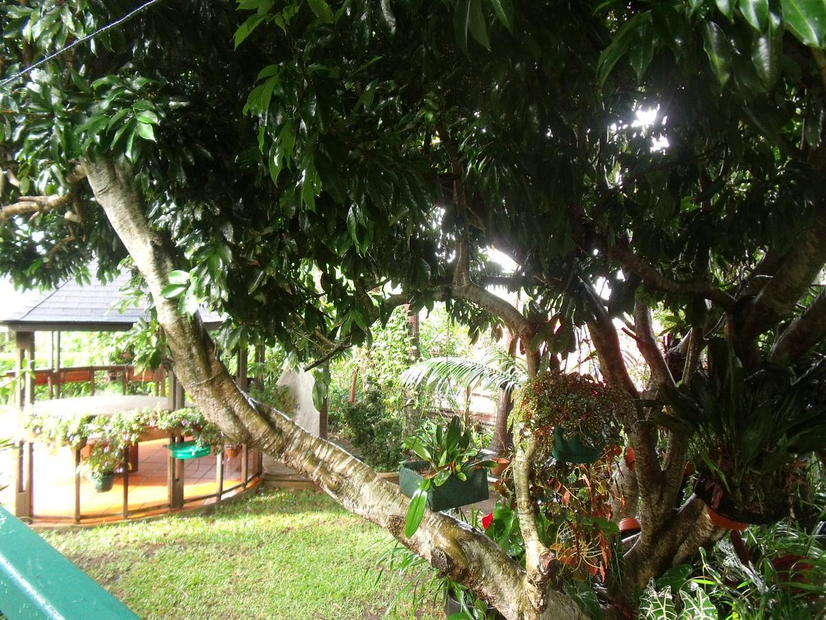 Villa Les Agapanthes Le Tampon Exterior foto